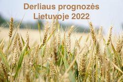 derliaus prognozes 2022.jpg